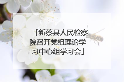 新蔡县人民检察院召开党组理论学习中心组学习会