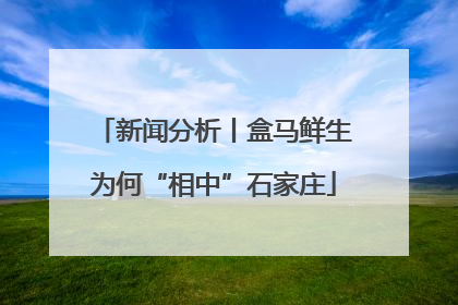 新闻分析丨盒马鲜生为何“相中”石家庄