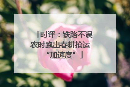 时评：铁路不误农时跑出春耕抢运“加速度”