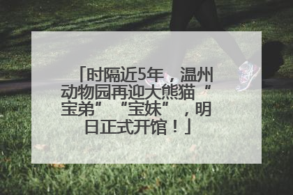 时隔近5年，温州动物园再迎大熊猫“宝弟”“宝妹”，明日正式开馆！