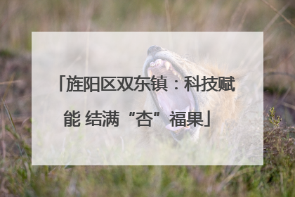 旌阳区双东镇：科技赋能 结满“杏”福果