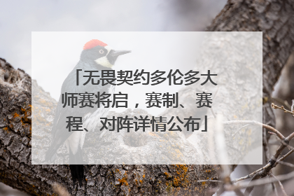 无畏契约多伦多大师赛将启，赛制、赛程、对阵详情公布