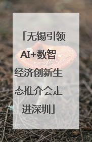 无锡引领AI+数智经济创新生态推介会走进深圳