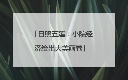 日照五莲：小院经济绘出大美画卷