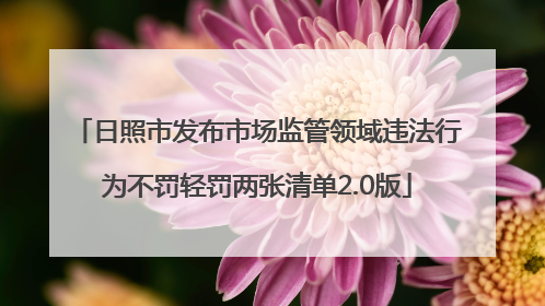 日照市发布市场监管领域违法行为不罚轻罚两张清单2.0版
