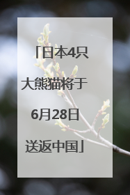日本4只大熊猫将于6月28日送返中国