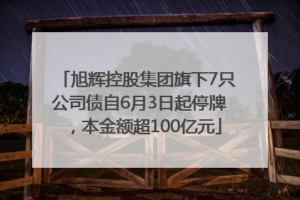 旭辉控股集团旗下7只公司债自6月3日起停牌，本金额超100亿元