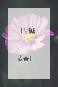 旱碱麦香