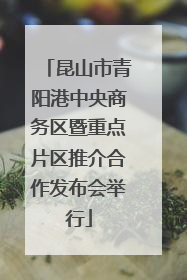 昆山市青阳港中央商务区暨重点片区推介合作发布会举行