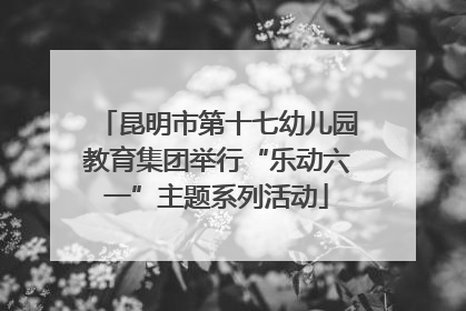昆明市第十七幼儿园教育集团举行“乐动六一”主题系列活动
