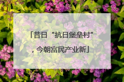 昔日“抗日堡垒村”，今朝富民产业新