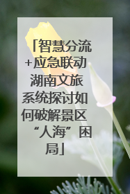 智慧分流+应急联动 湖南文旅系统探讨如何破解景区“人海”困局