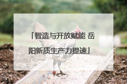 智造与开放赋能 岳阳新质生产力提速