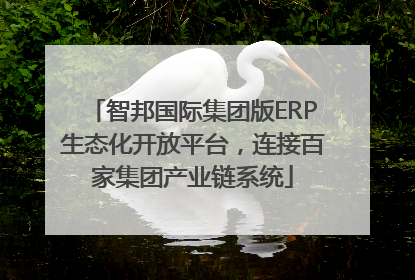 智邦国际集团版ERP生态化开放平台，连接百家集团产业链系统