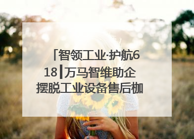智领工业·护航618┃万马智维助企摆脱工业设备售后枷锁，实现服务与效能价值共振！