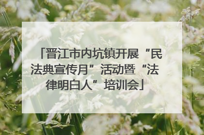晋江市内坑镇开展“民法典宣传月”活动暨“法律明白人”培训会