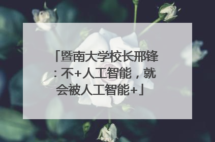 暨南大学校长邢锋：不+人工智能，就会被人工智能+