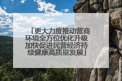 更大力度推动营商环境全方位优化升级加快促进民营经济持续健康高质量发展