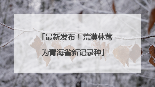 最新发布！荒漠林莺为青海省新记录种