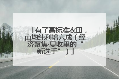 有了高标准农田，亩均纯利增六成（经济聚焦·夏收里的“新选手”）