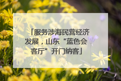 服务涉海民营经济发展，山东“蓝色会客厅”开门纳客