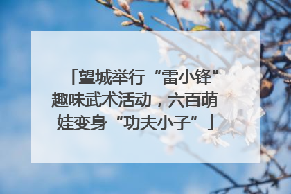 望城举行“雷小锋”趣味武术活动，六百萌娃变身“功夫小子”