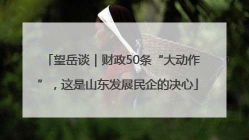 望岳谈｜财政50条“大动作”，这是山东发展民企的决心