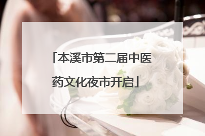 本溪市第二届中医药文化夜市开启