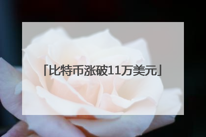 比特币涨破11万美元