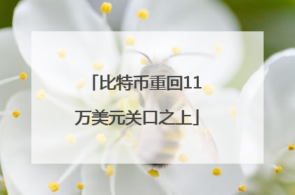 比特币重回11万美元关口之上