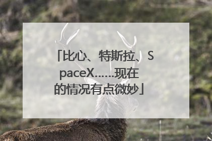 比心、特斯拉、SpaceX……现在的情况有点微妙