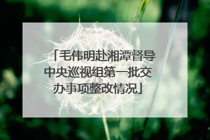 毛伟明赴湘潭督导中央巡视组第一批交办事项整改情况