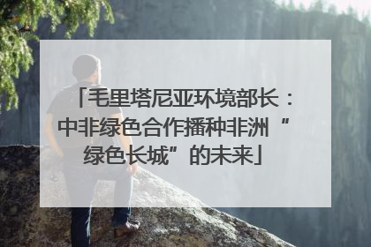 毛里塔尼亚环境部长：中非绿色合作播种非洲“绿色长城”的未来