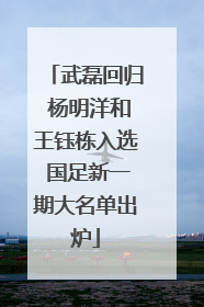 武磊回归 杨明洋和王钰栋入选 国足新一期大名单出炉