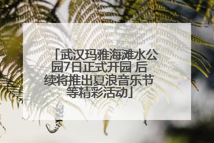 武汉玛雅海滩水公园7日正式开园 后续将推出夏浪音乐节等精彩活动