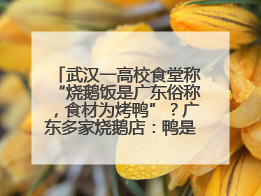 武汉一高校食堂称“烧鹅饭是广东俗称，食材为烤鸭”？广东多家烧鹅店：鸭是鸭鹅是鹅