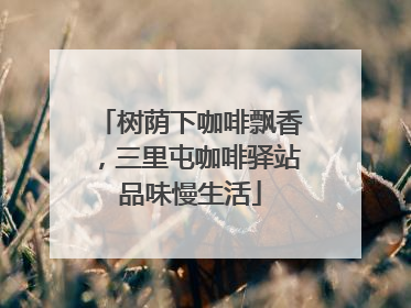 树荫下咖啡飘香，三里屯咖啡驿站品味慢生活