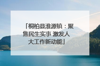 桐柏县淮源镇：聚焦民生实事 激发人大工作新动能