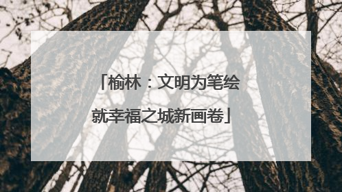榆林：文明为笔绘就幸福之城新画卷