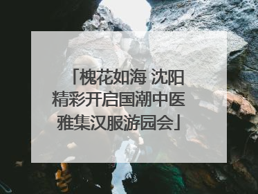 槐花如海 沈阳精彩开启国潮中医雅集汉服游园会