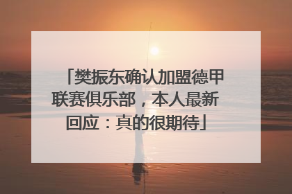 樊振东确认加盟德甲联赛俱乐部，本人最新回应：真的很期待