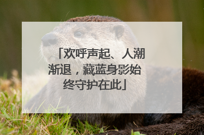 欢呼声起、人潮渐退，藏蓝身影始终守护在此