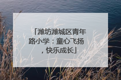 潍坊潍城区青年路小学：童心飞扬，快乐成长