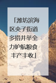 潍坊滨海区央子街道多措并举全力护航粮食丰产丰收