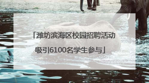 潍坊滨海区校园招聘活动吸引6100名学生参与