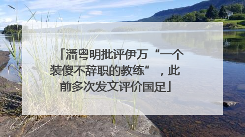 潘粤明批评伊万“一个装傻不辞职的教练”，此前多次发文评价国足