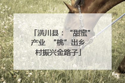 潢川县：“甜蜜”产业  “桃”出乡村振兴金路子