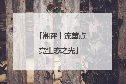 潮评丨流萤点亮生态之光