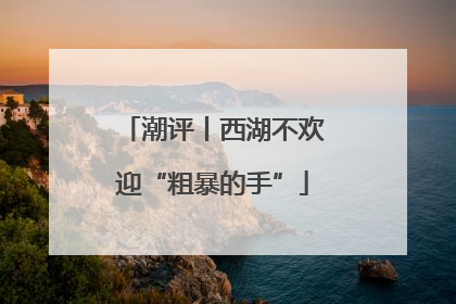 潮评丨西湖不欢迎“粗暴的手”