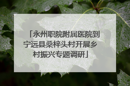 永州职院附属医院到宁远县桑梓头村开展乡村振兴专题调研